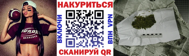 Бошки Шишки план Новосокольники